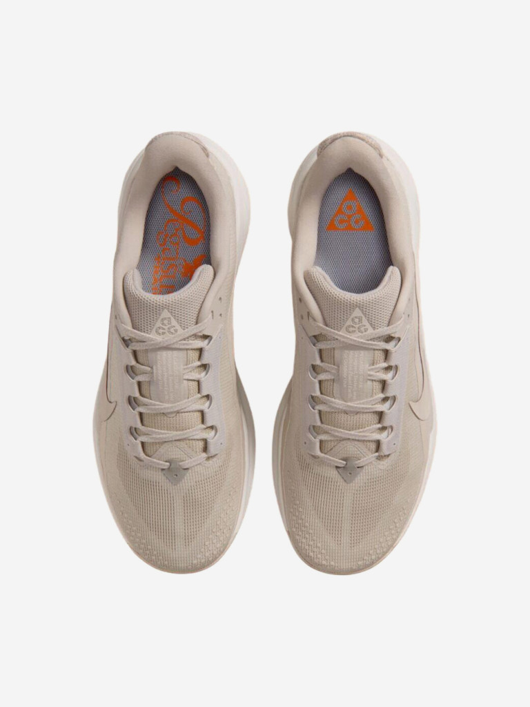 Кроссовки мужские Nike ACG Pegasus Trail
