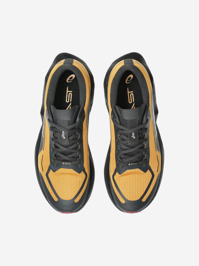 Кроссовки мужские ASICS Novablast GTX