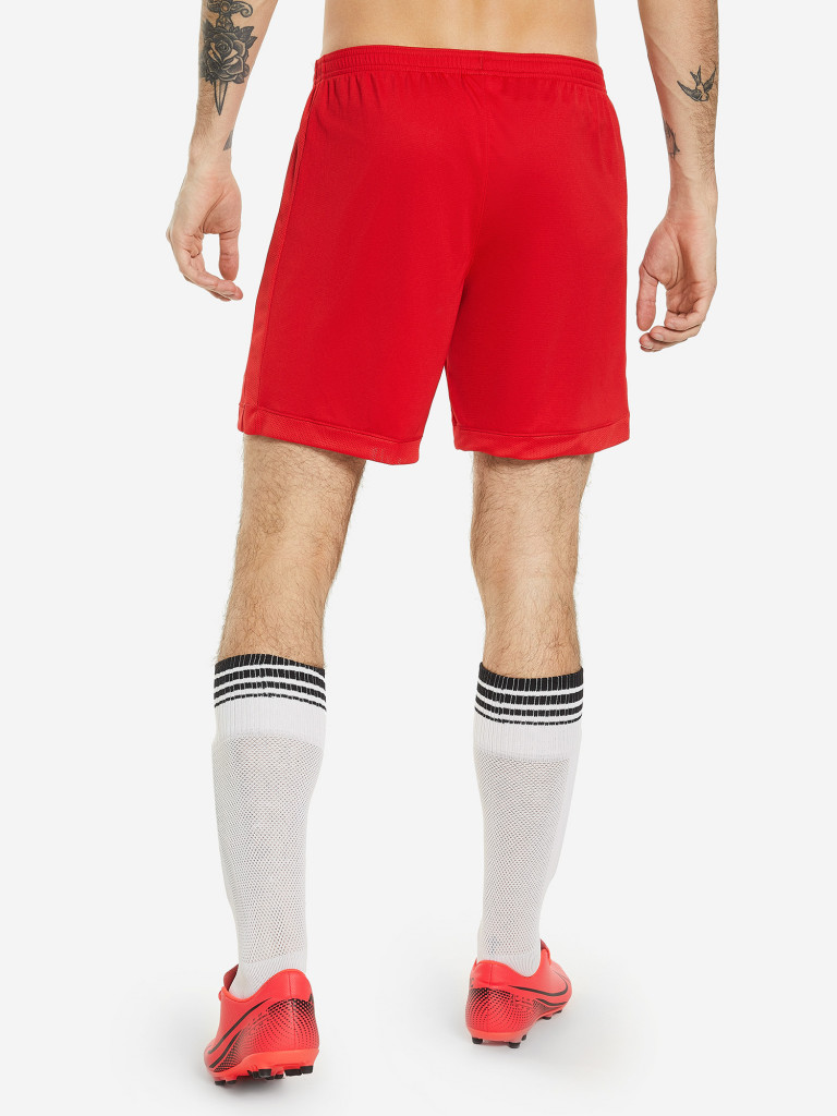 Шорты мужские Nike Academy
