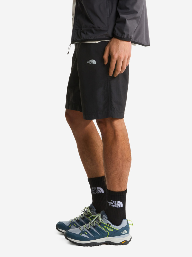 Шорты мужские The North Face