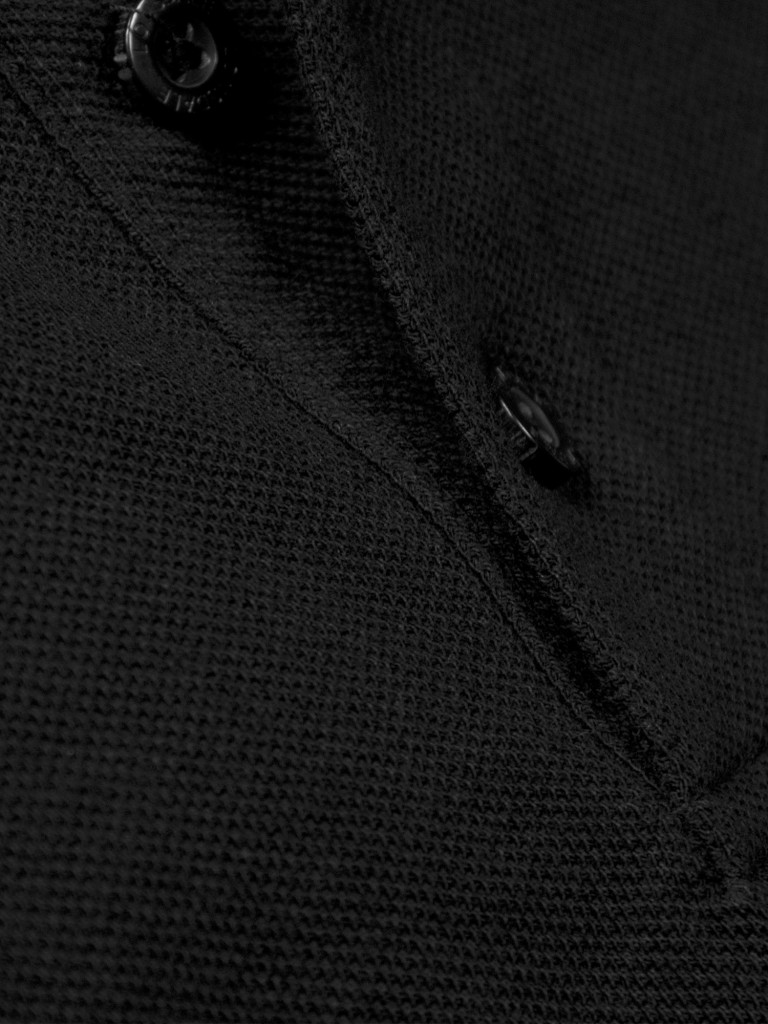 Футболка мужская LONSDALE LION