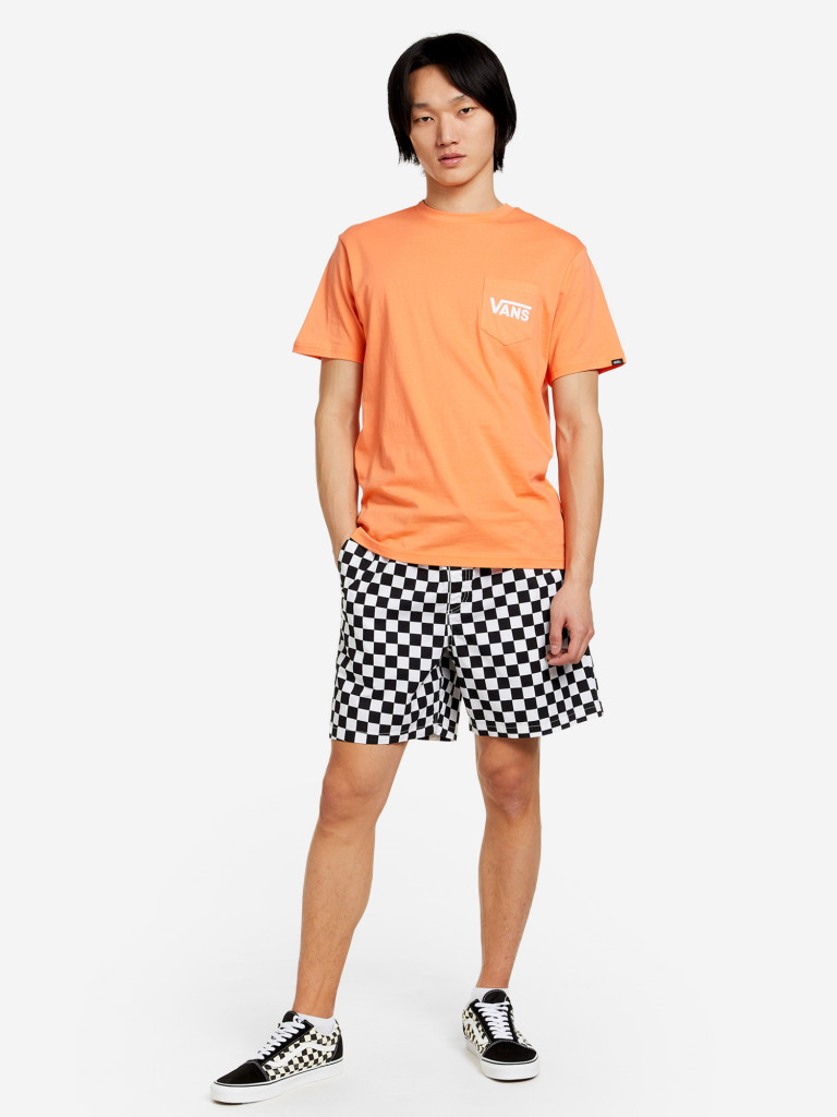 Футболка мужская Vans