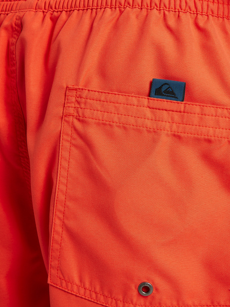 Шорты пляжные мужские Quiksilver Everyday Vert Volley