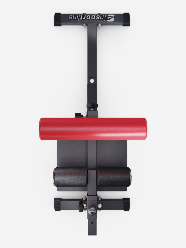 Тренажер для приседаний Sissy Squat DFC IN21715