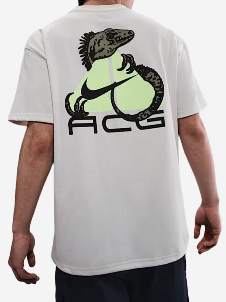 Футболка мужская Nike Dri Fit