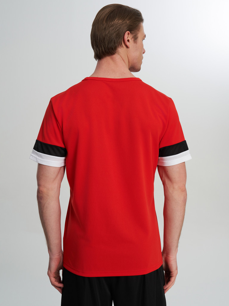 Футболка мужская PUMA TeamRise