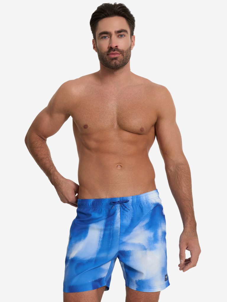 Шорты плавательные мужские Speedo Digi Print