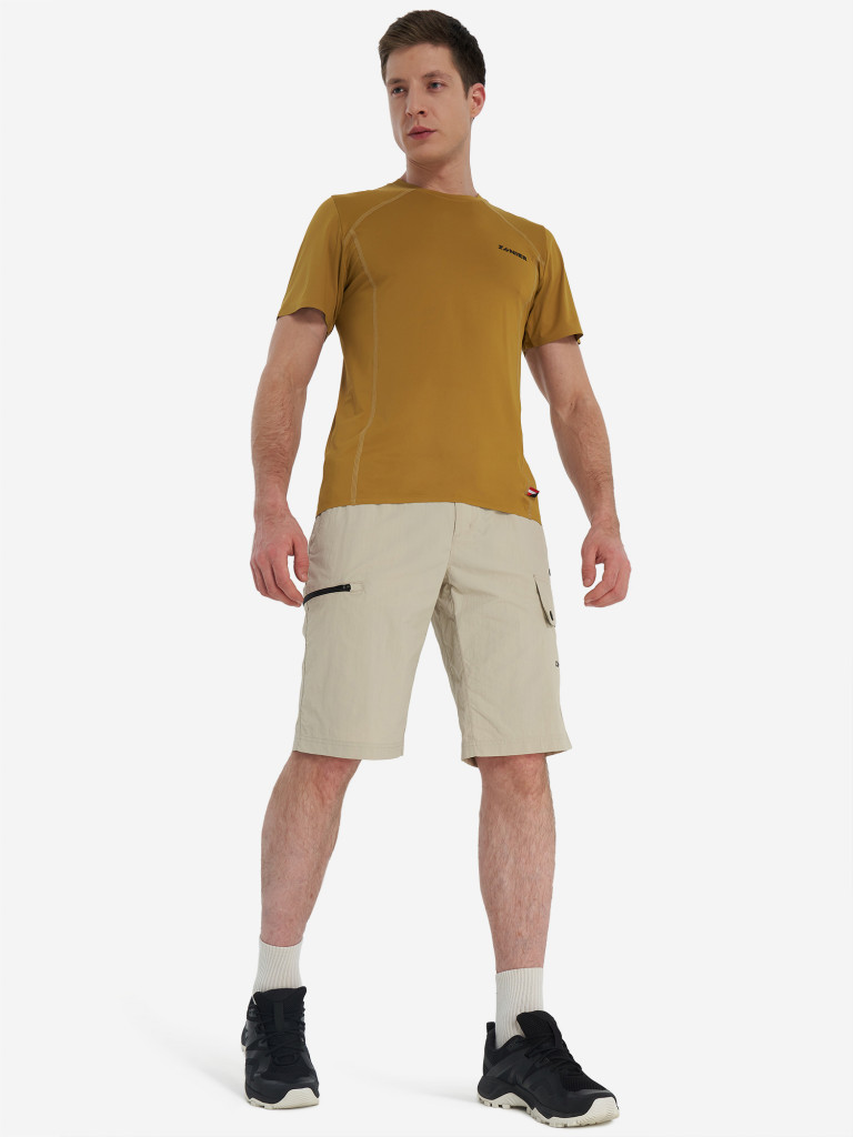 Шорты мужские Zanier