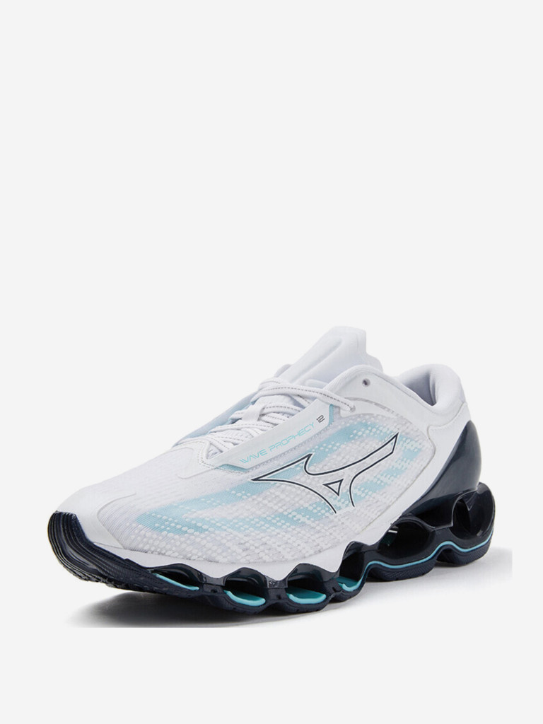Кроссовки мужские для бега Mizuno Wave Prophecy 12