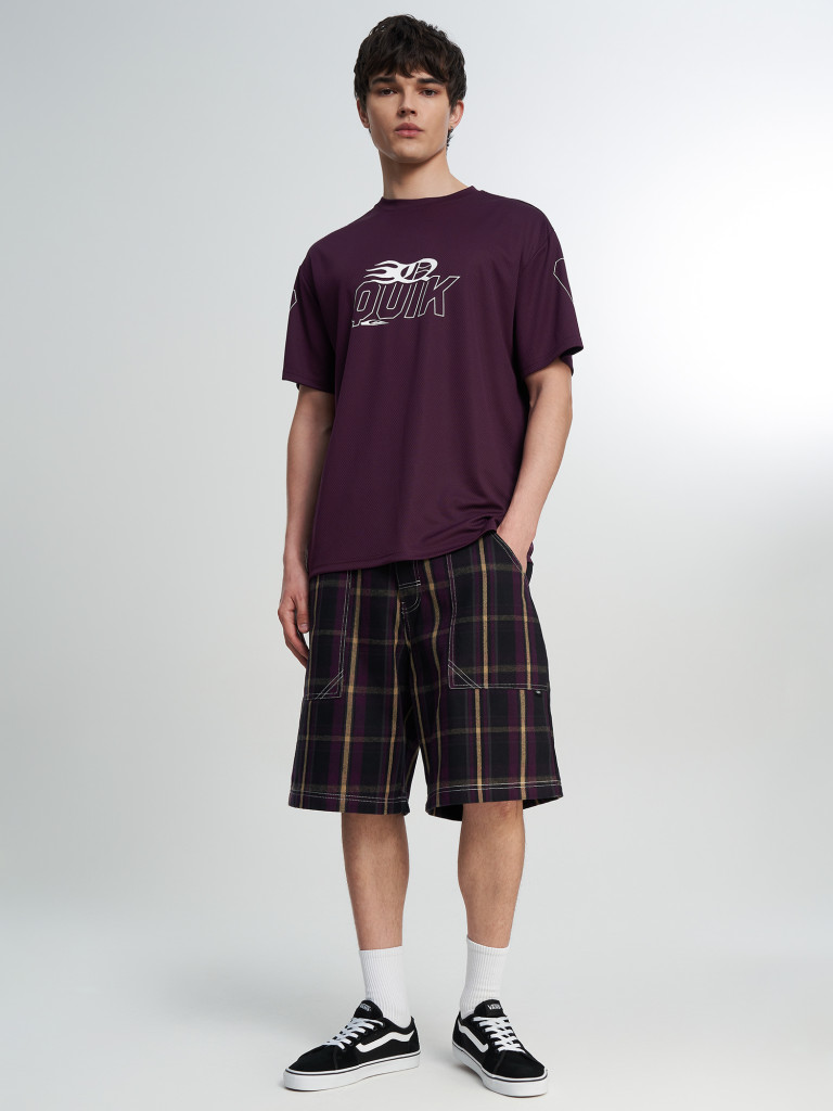 Шорты мужские оверсайз Quiksilver Mercury Check