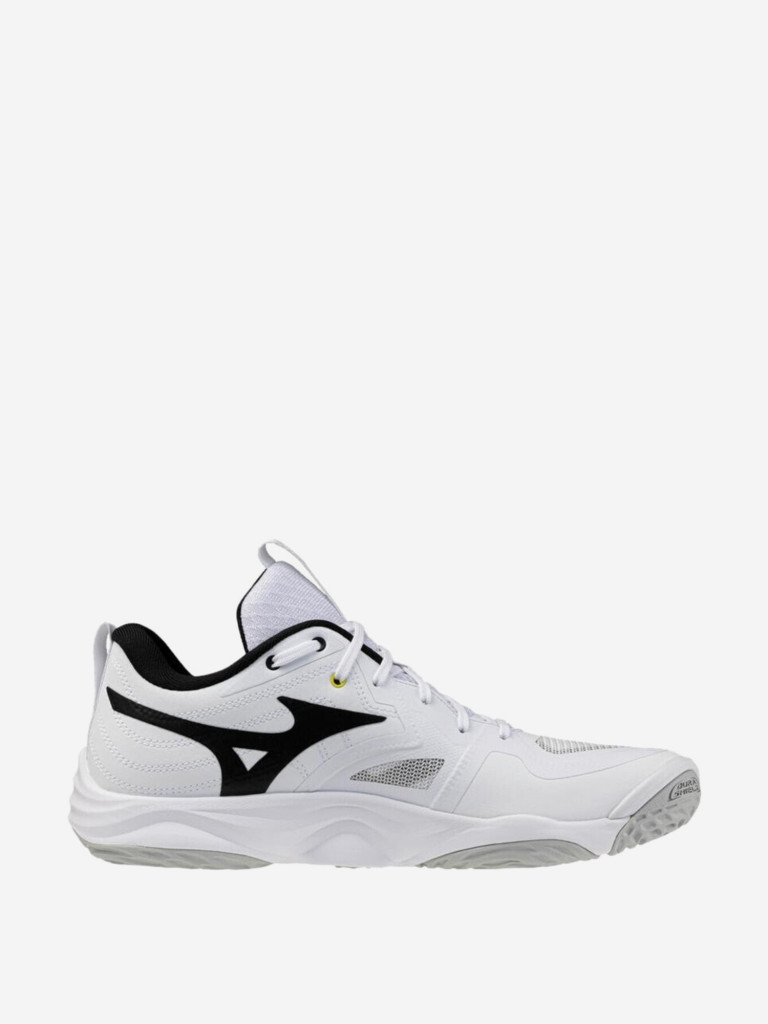 Кроссовки мужские Mizuno Wave Momentum Elite