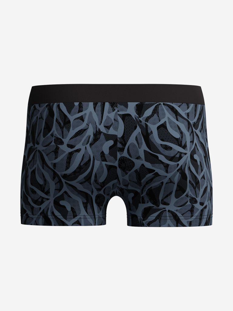 Плавки мужские Speedo Valmilton