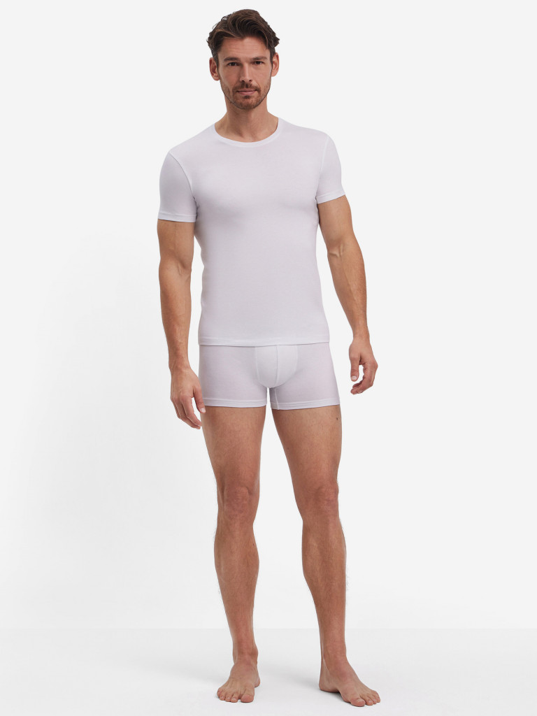 Набор мужских футболок FALKE