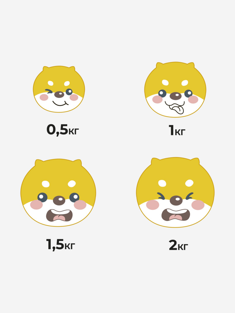 Гантели PROIRON силиконовые набор 2 шт, 1,5+1,5 кг