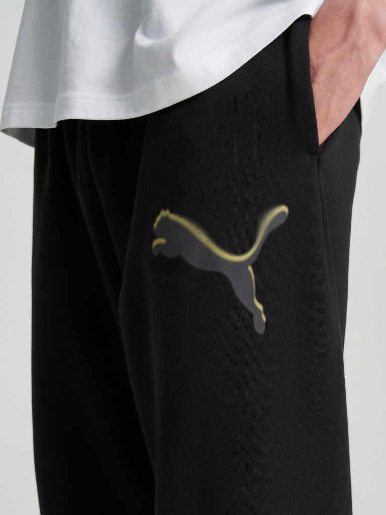 Брюки мужские PUMA Sport Street