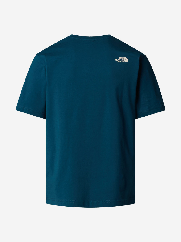 Футболка мужская The North Face Varsity Graphic