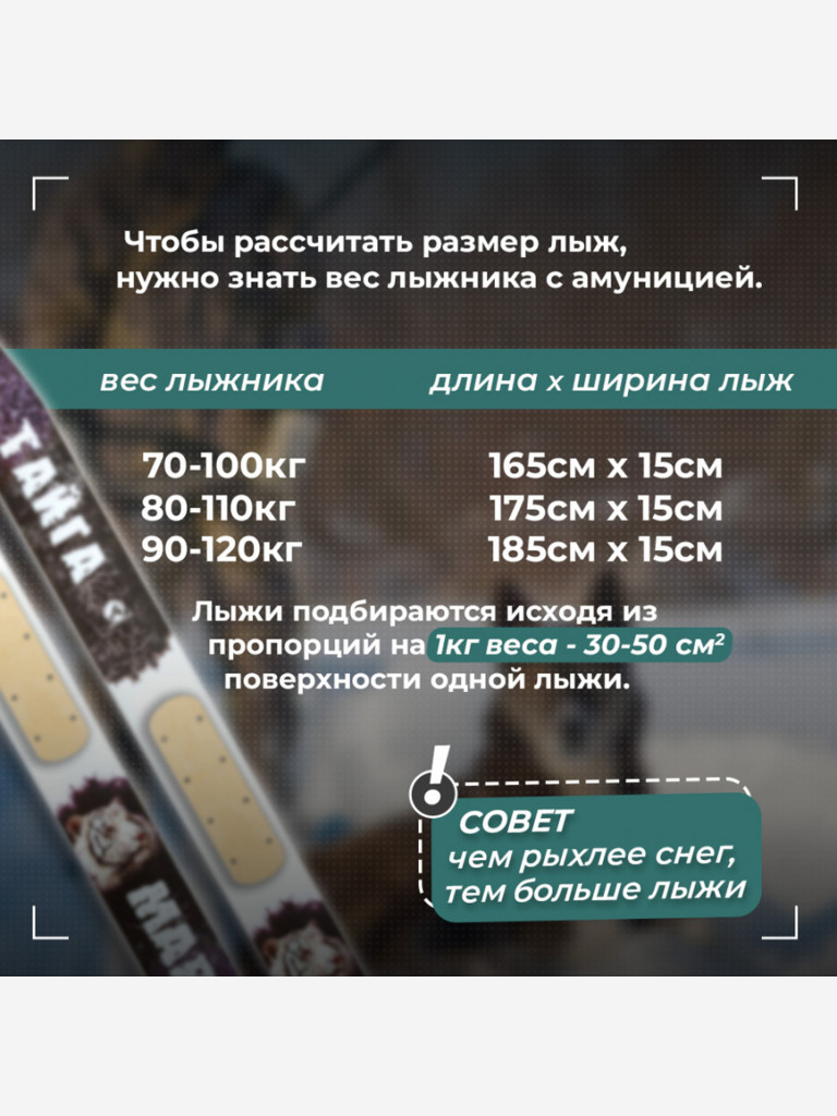 Охотничьи лыжи Маяк ТАЙГА 185х15 см, дерево + накладки, дерево