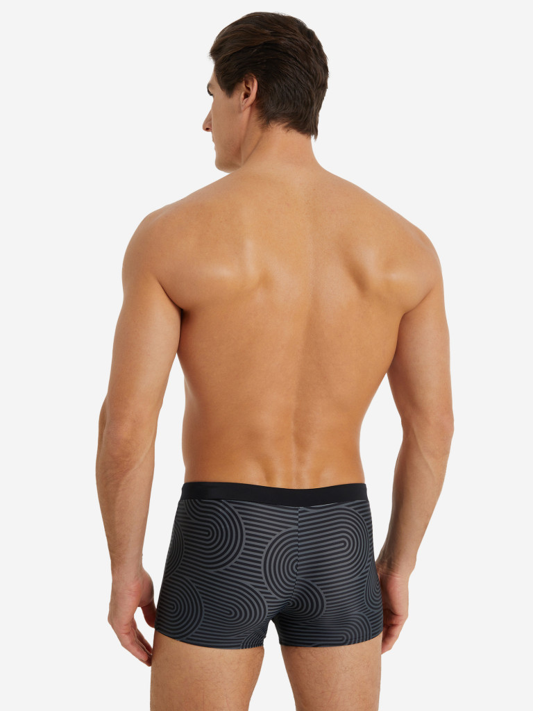 Плавки-шорты мужские Speedo Valmilton