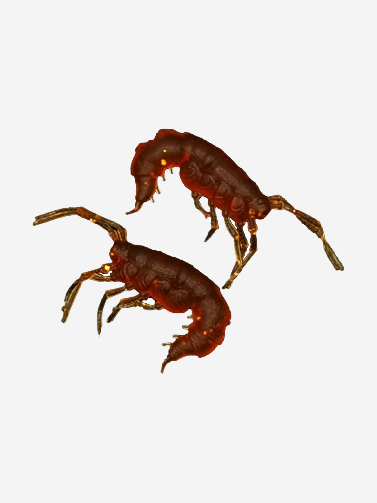 Набор для рыбалки зимний летний. RuBaits Русские приманки. Креветка Shrims рак 45 шт. 0,7", 1,5". Cиликоновые приманки на окуня, форель. Микроджиг, мормышинг. Бренди Brandy