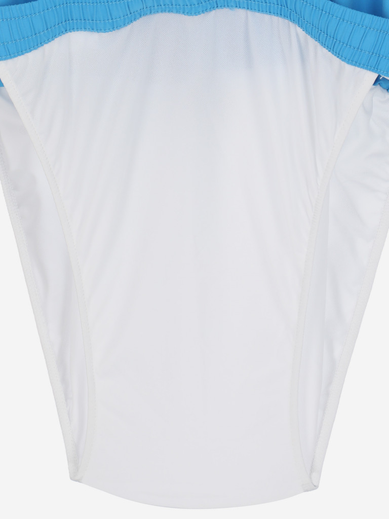 Шорты пляжные мужские Quiksilver Sun Stroke Volley