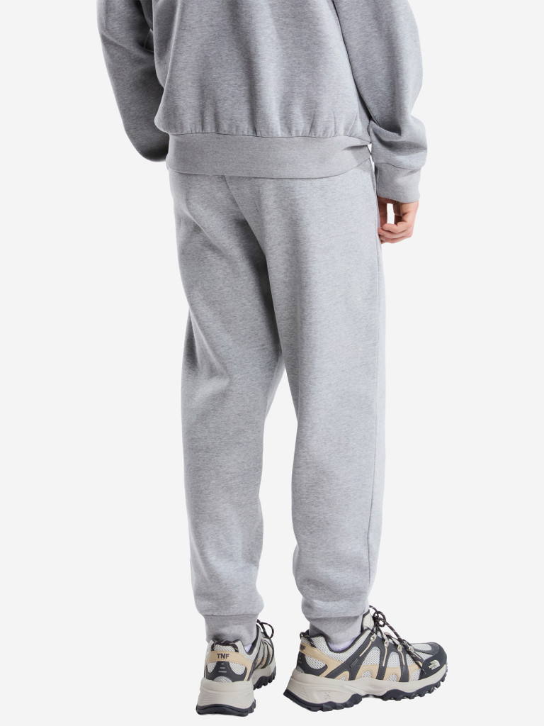 Брюки мужские The North Face Evolution Simple