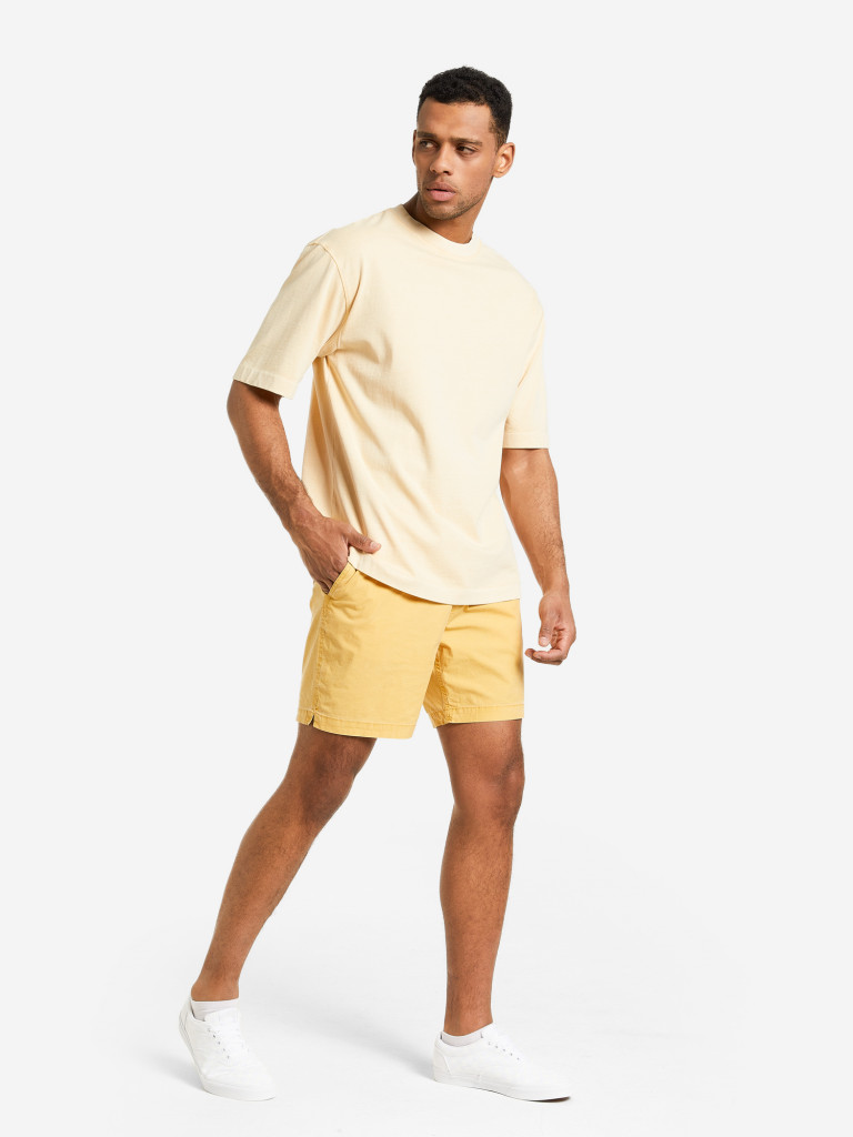 Шорты мужские Quiksilver