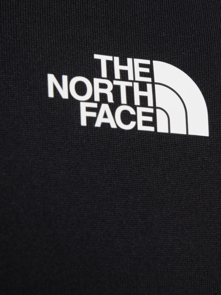 Толстовка мужская The North Face Meteora