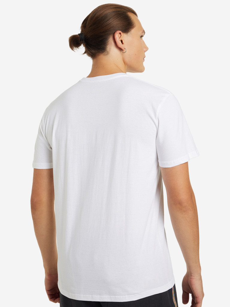 Футболка мужская Quiksilver Summer Dayz Flaxton