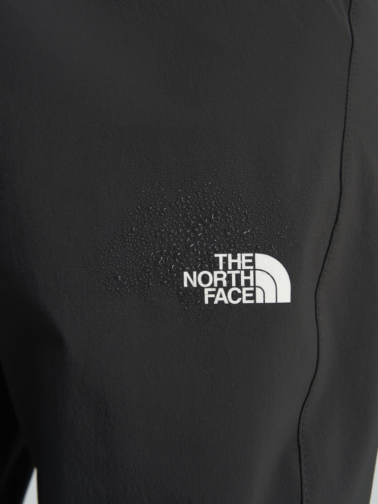 Брюки женские The North Face Speedlight Regular
