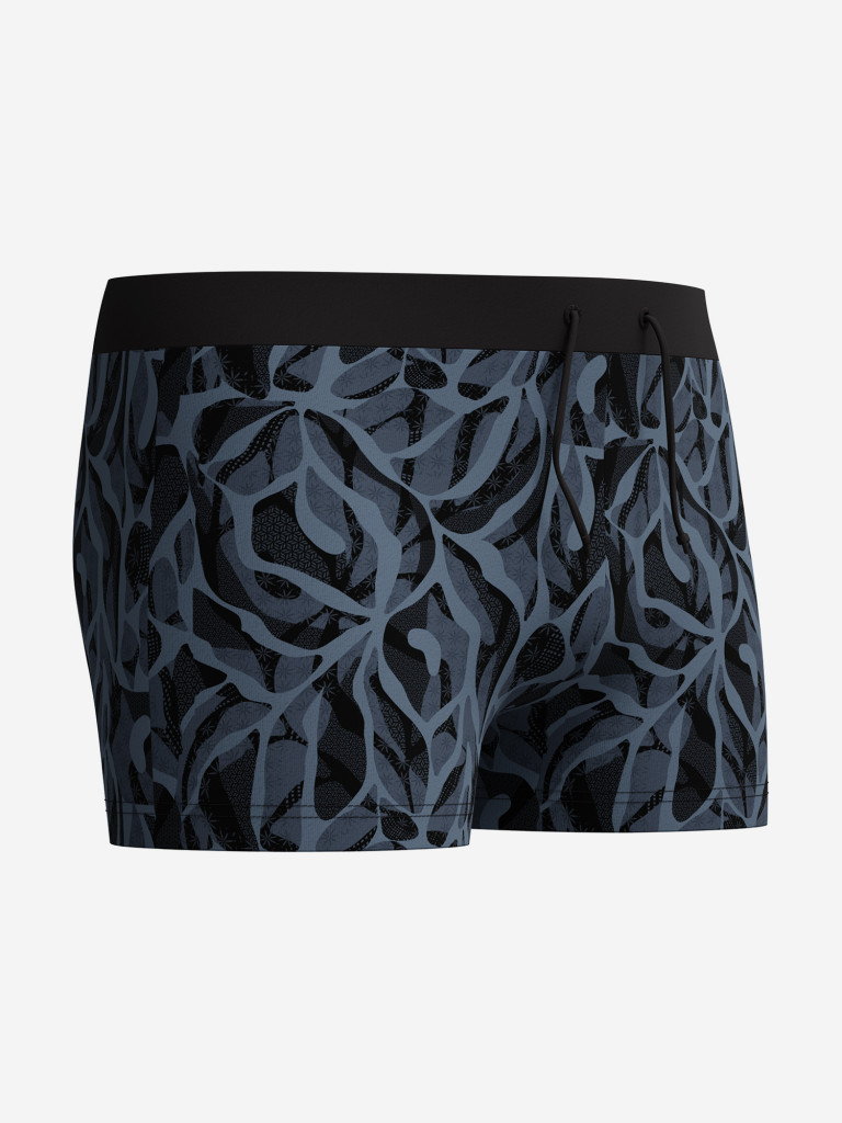 Плавки мужские Speedo Valmilton