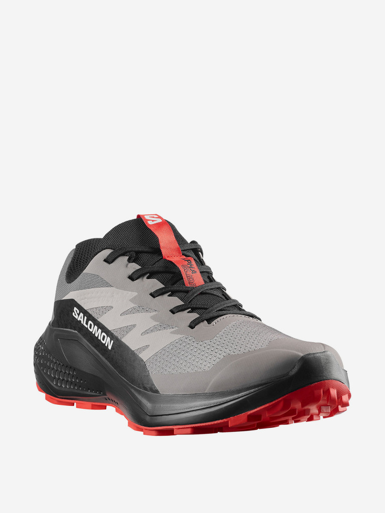 Кроссовки мужские Salomon Alphaglide