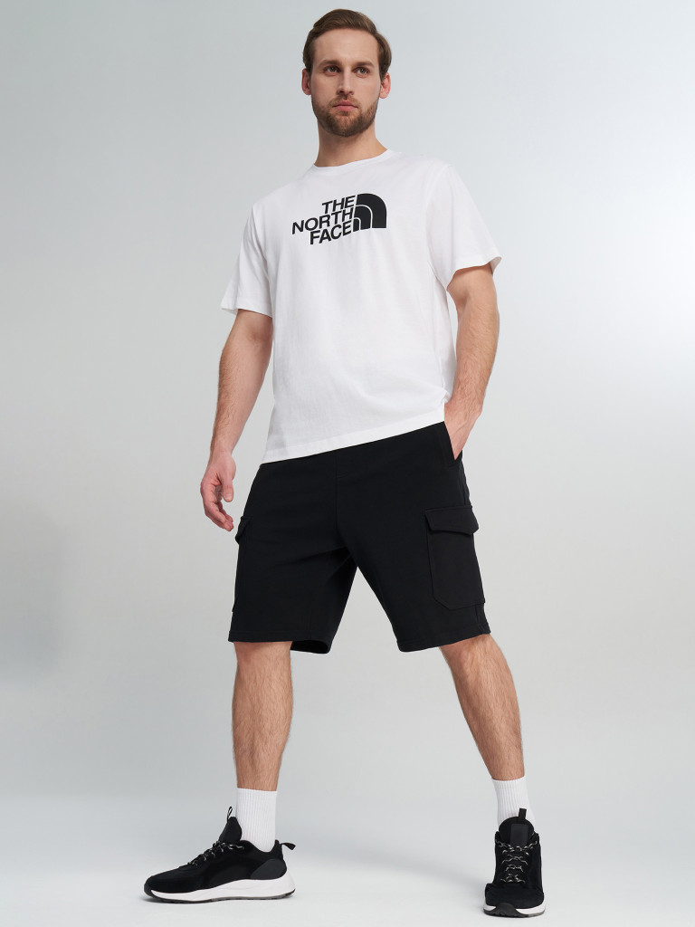 Футболка мужская The North Face Evolution