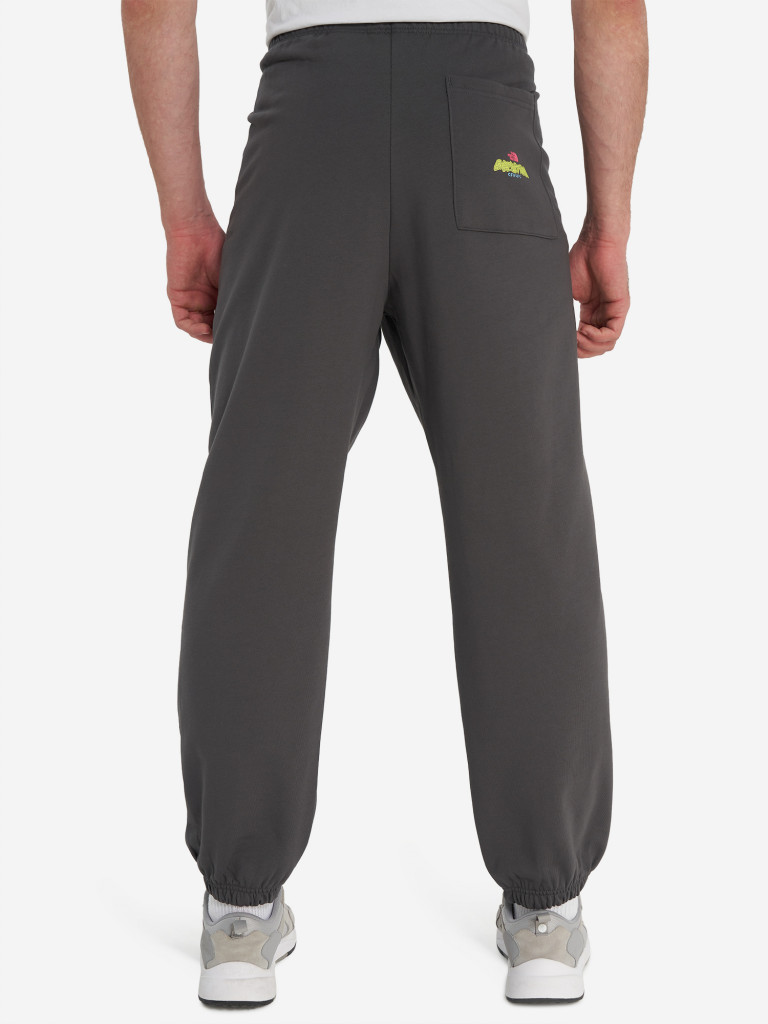 Брюки мужские The North Face Expedition Celebration