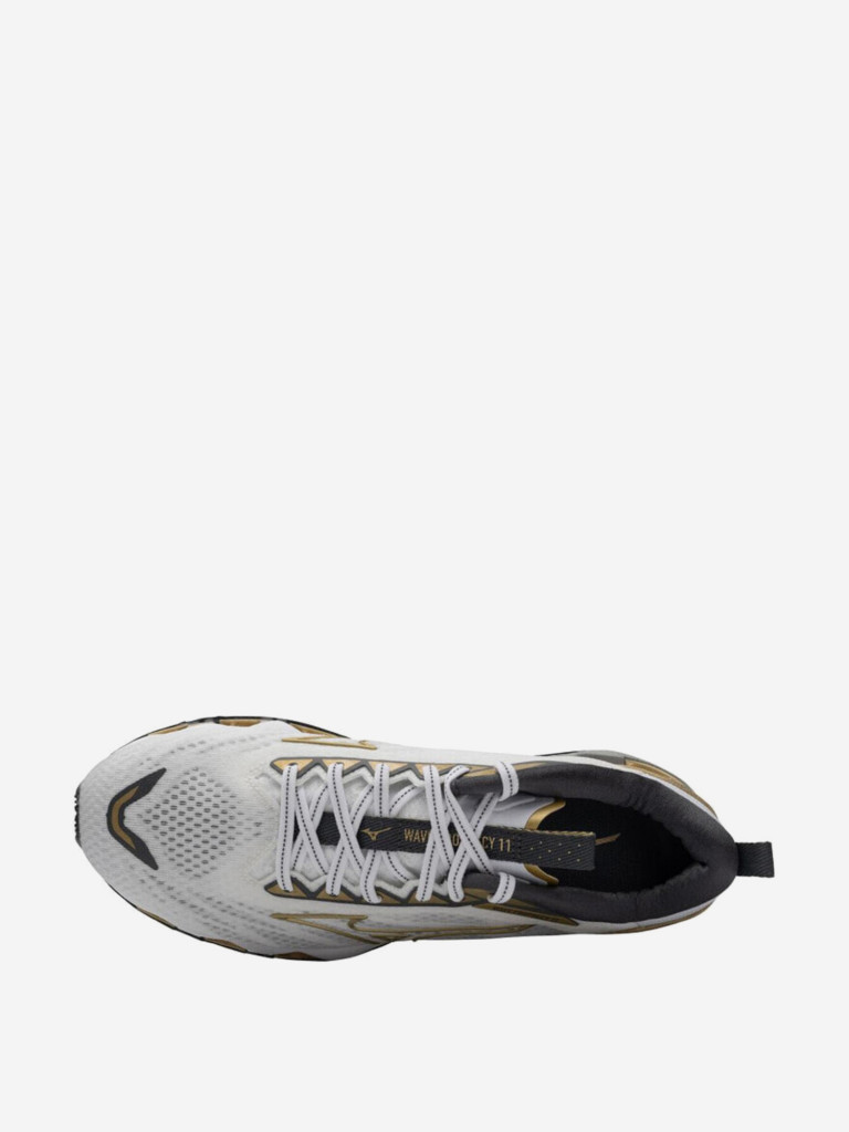 Кроссовки мужские для бега Mizuno Wave Prophecy 11