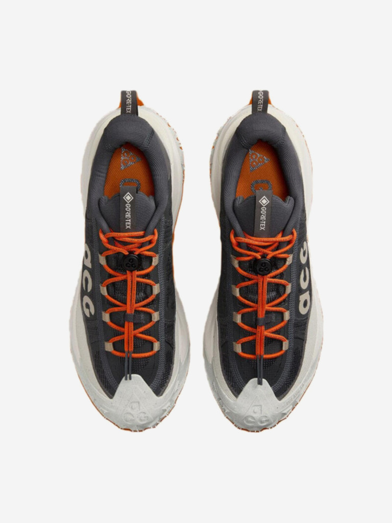Кроссовки Nike ACG Mountain Fly 2 Low GORE-TEX Dark Smoke Grey