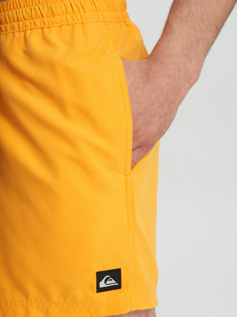 Шорты плавательные мужские Quiksilver Everyday Volley 15