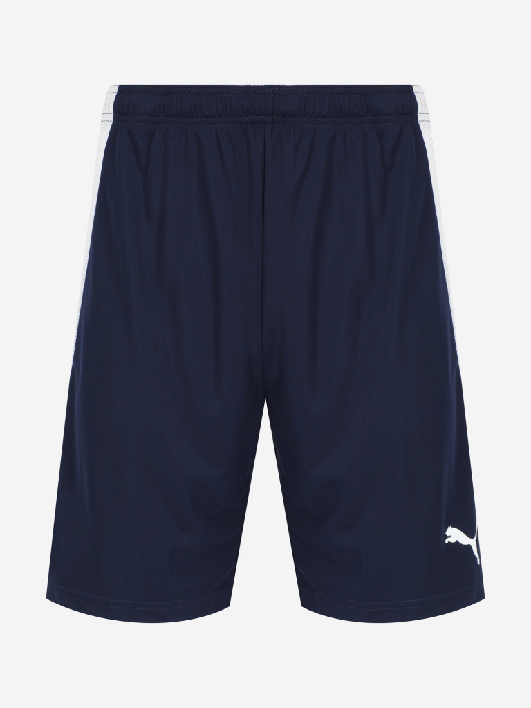 Шорты мужские PUMA Team Liga