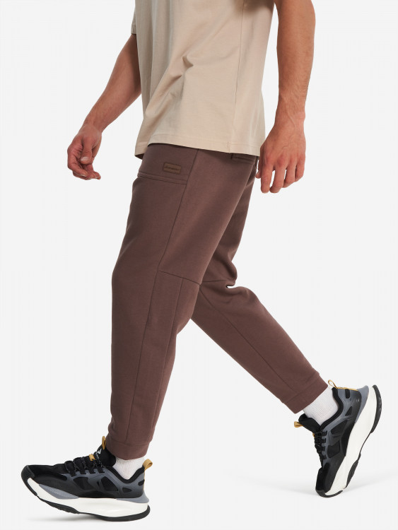 Брюки мужские Demix Workday