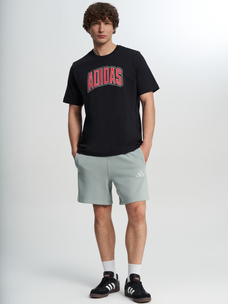 Футболка мужская Adidas Stad Colleg