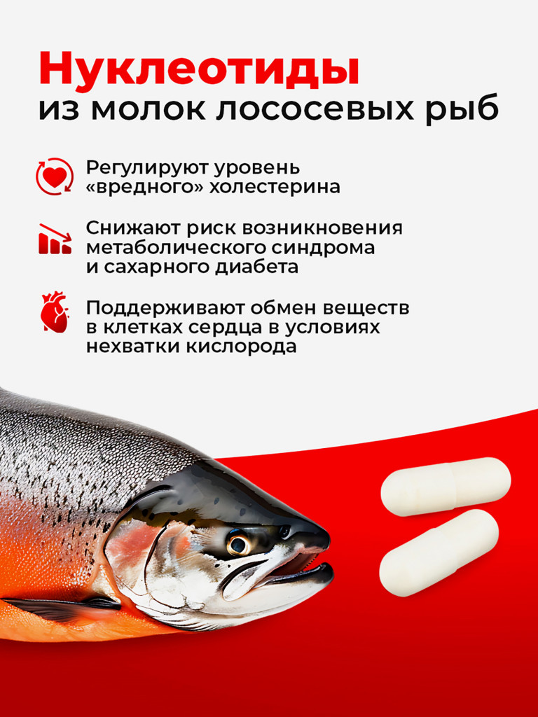 Кардиозащита, для сердца и сосудов, поддержки нервной системы - 30 капсул, Доктор Море