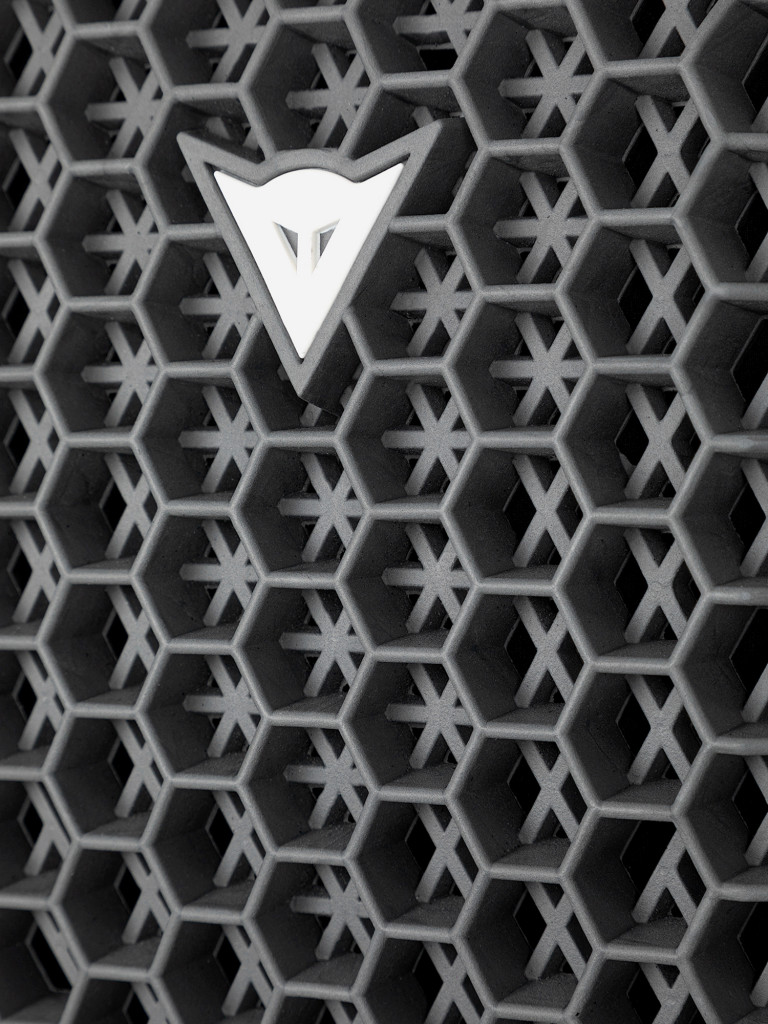 Защита спины Dainese PRO ARMOR BACK PROTECTOR G1