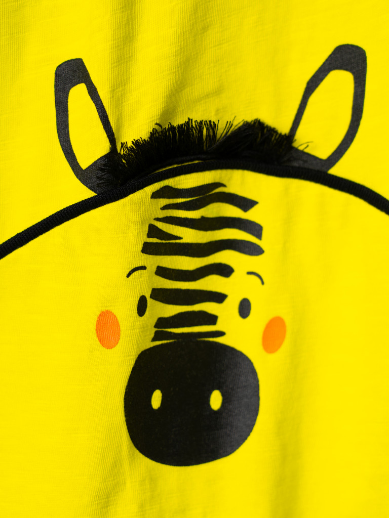 Комплект для мальчиков: футболка, брюки PlayToday