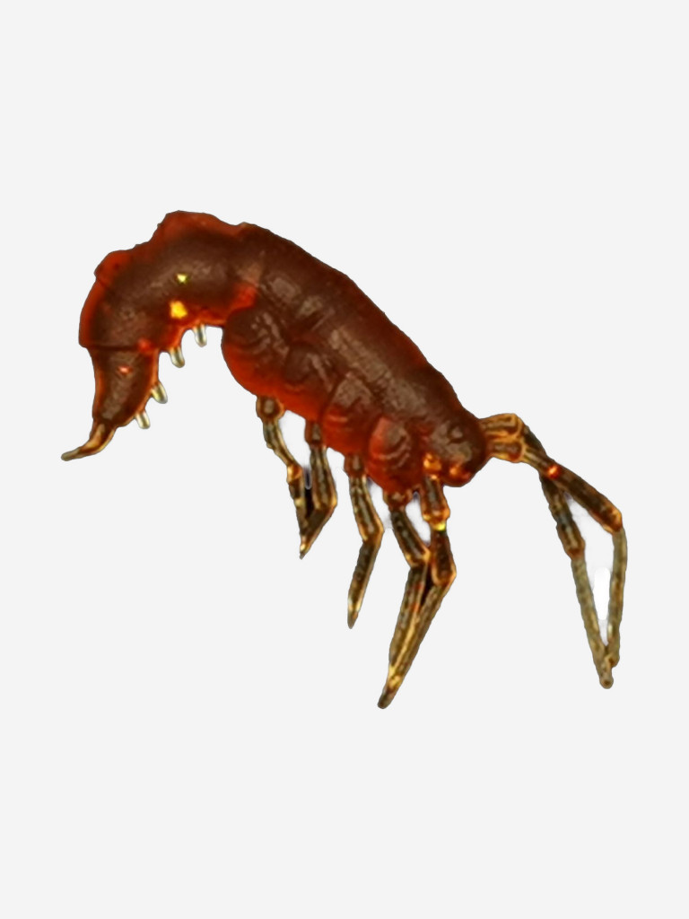 Набор для рыбалки зимний летний. RuBaits Русские приманки. Креветка Shrims рак 45 шт. 0,7", 1,5". Cиликоновые приманки на окуня, форель. Микроджиг, мормышинг. Бренди Brandy