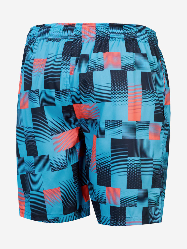 Шорты плавательные мужские Speedo Sport
