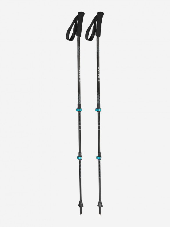 Палки треккинговые C.A.M.P. Backcountry Ergo