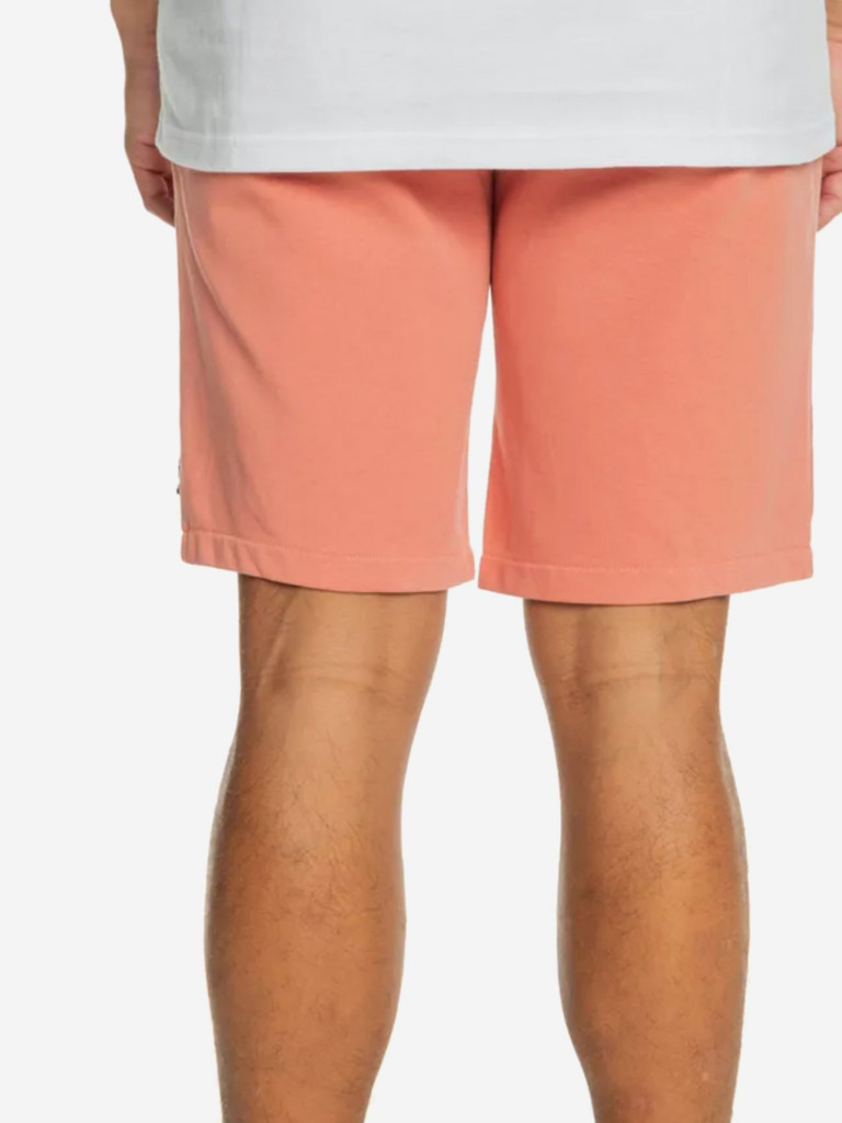 Шорты мужские QUIKSILVER Solid Volley