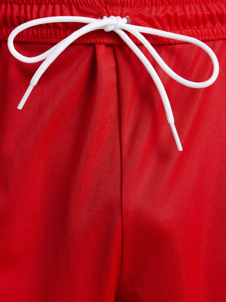 Шорты мужские PUMA teamLIGA