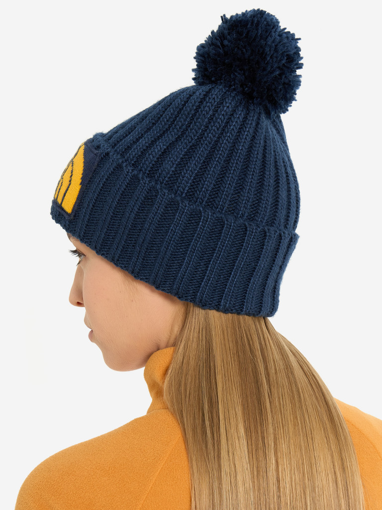 Шапка The North Face