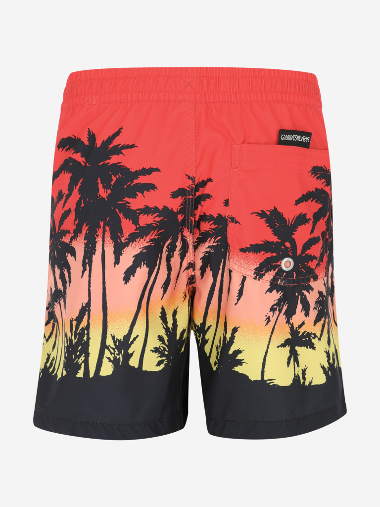 Шорты для мальчиков Quiksilver Paradise