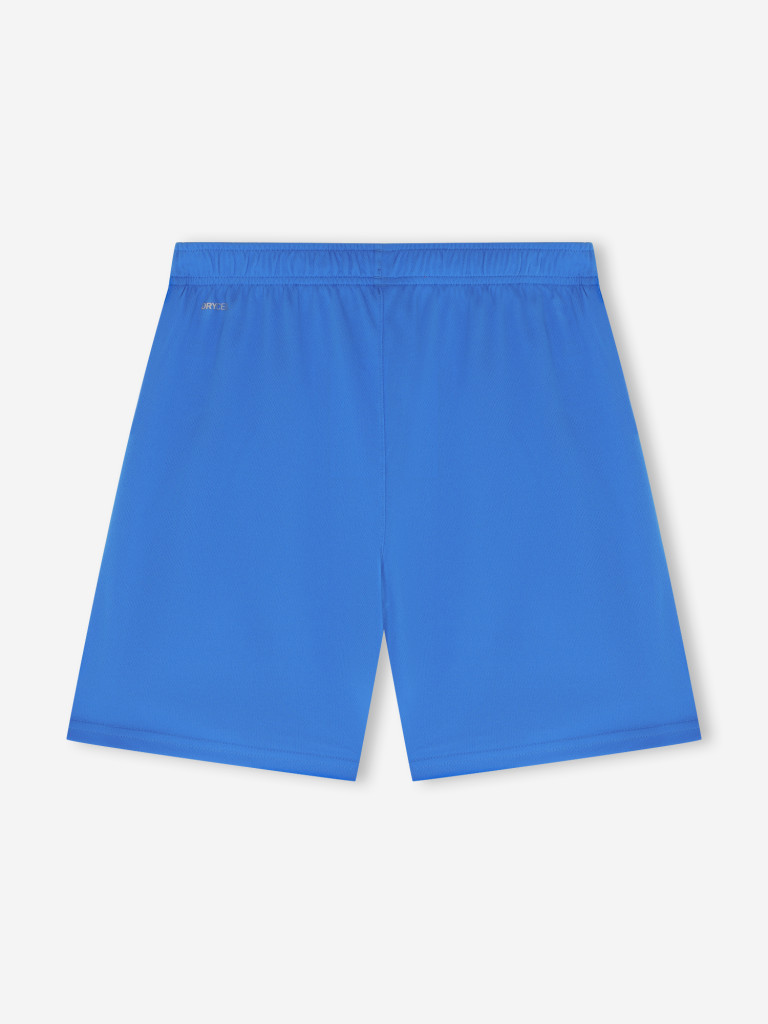 Шорты для мальчиков PUMA Teamrise